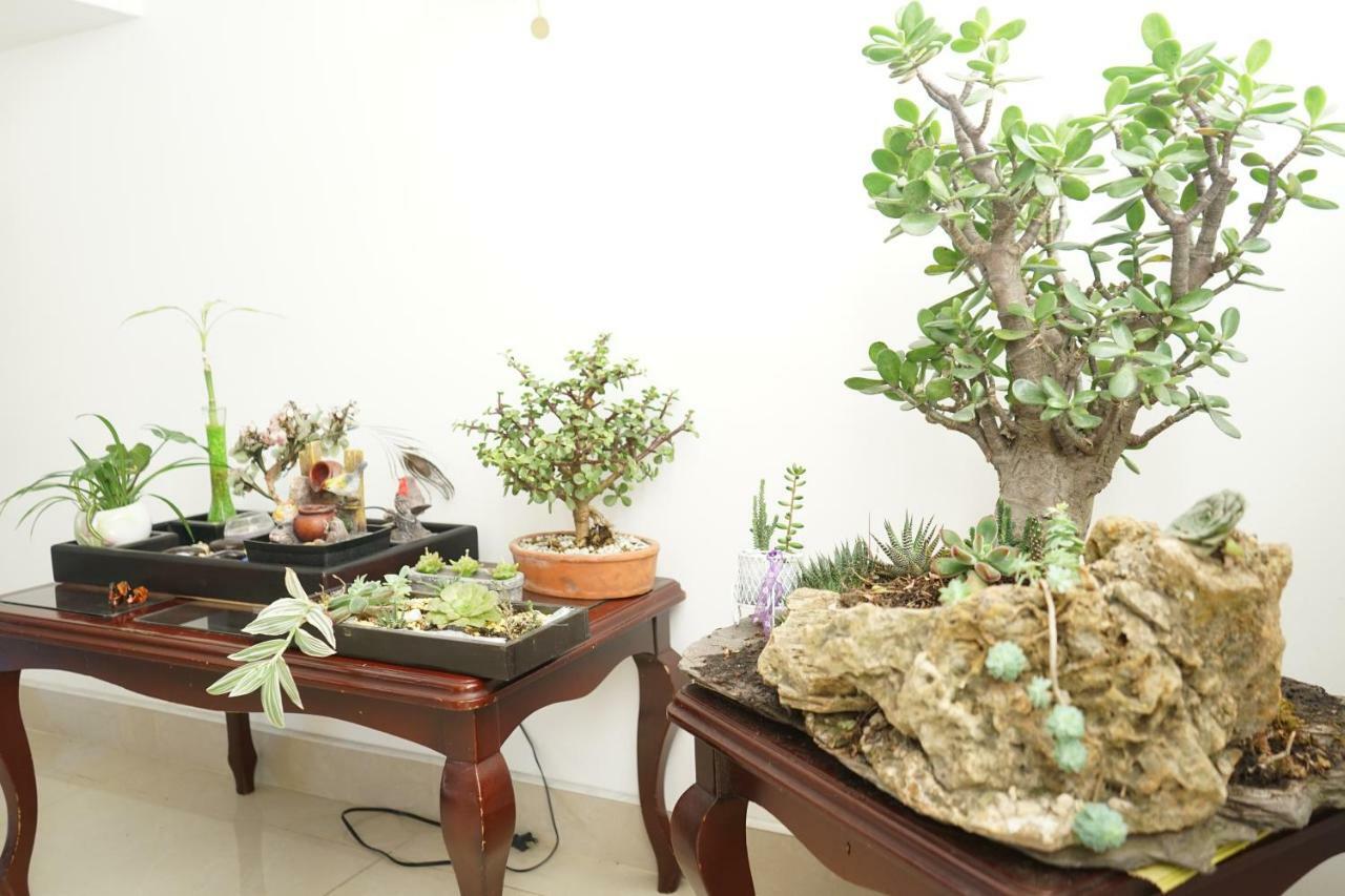 Ventura Homestay